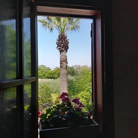 Casa Callinos