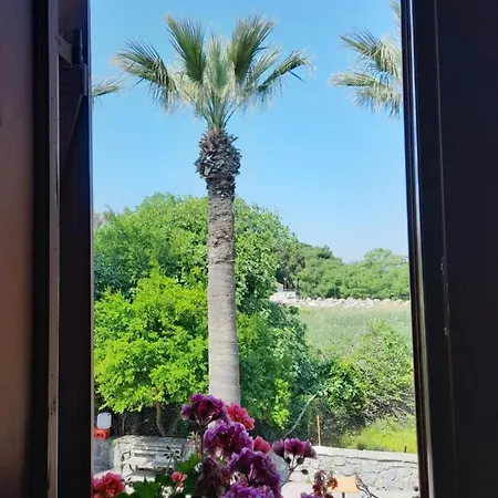 לינה וארוחת בוקר Casa Callinos סלצ'וק
