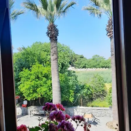 Casa Callinos 住宿加早餐酒店 塞尔丘克