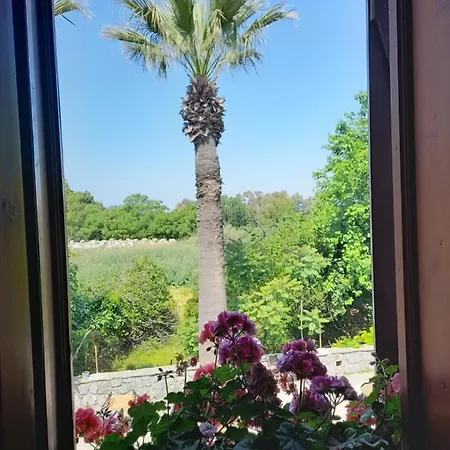 לינה וארוחת בוקר Casa Callinos 3*