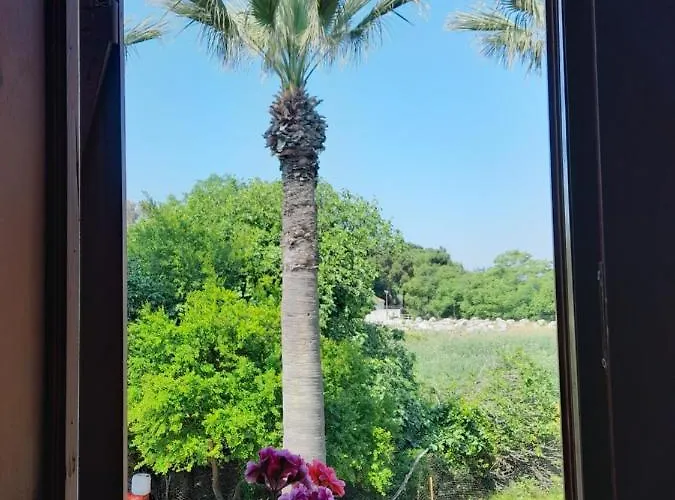 Bed & Breakfast Casa Callinos Selcuk